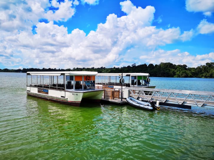 SAFARI BOAT